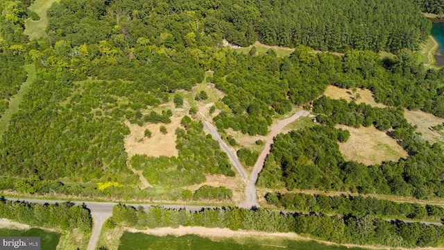 aerial view with a view of trees