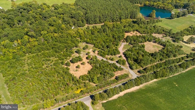 birds eye view of property with a wooded view and a water view