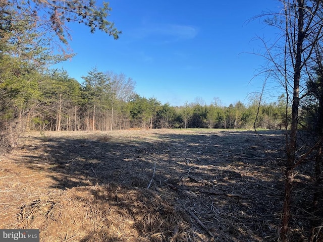 view of landscape featuring a wooded view