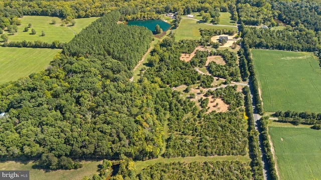 drone / aerial view featuring a forest view and a rural view