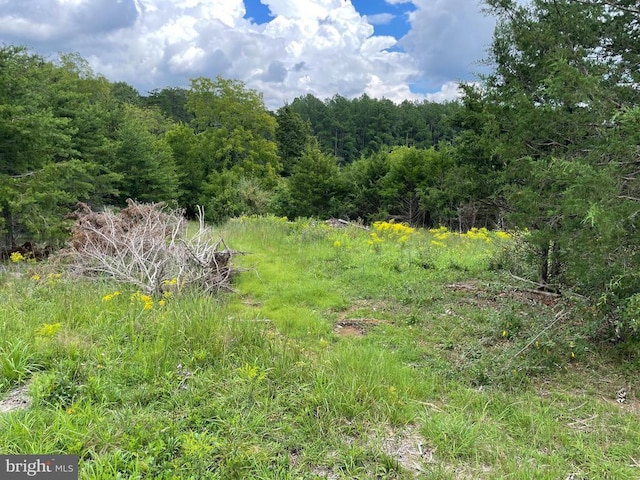 view of nature featuring a wooded view