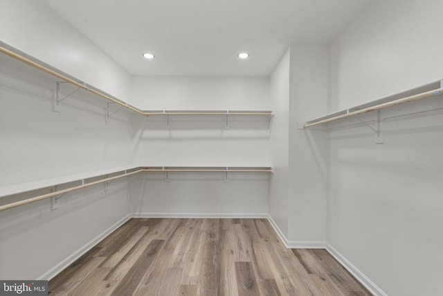 walk in closet with light hardwood / wood-style flooring