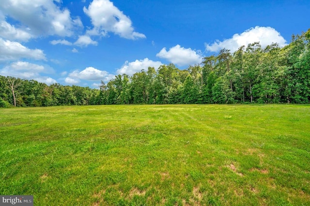 view of yard featuring a view of trees