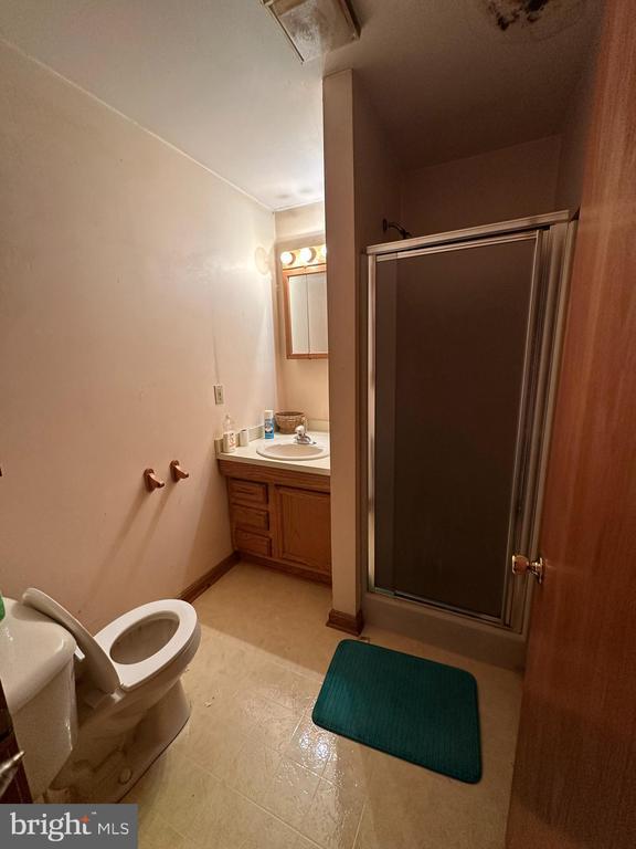 bathroom with vanity, toilet, and a shower with shower door