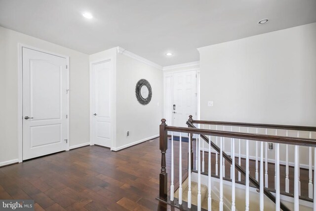 hall featuring crown molding and dark hardwood / wood-style floors