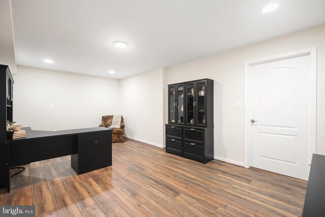 office featuring wood-type flooring