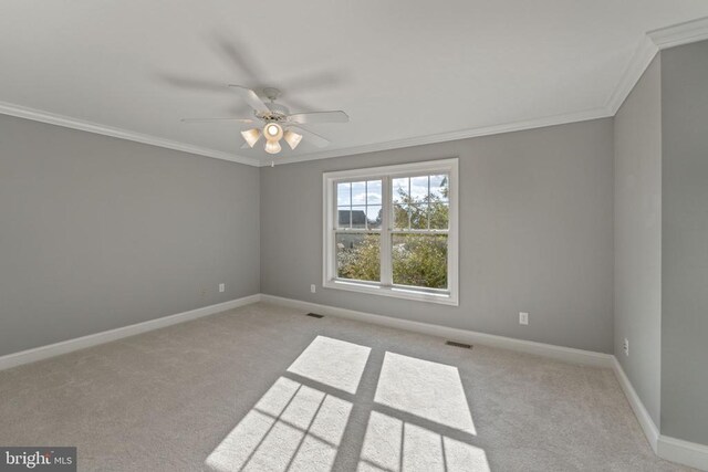 carpeted spare room with ceiling fan and ornamental molding