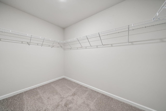 spacious closet with carpet floors