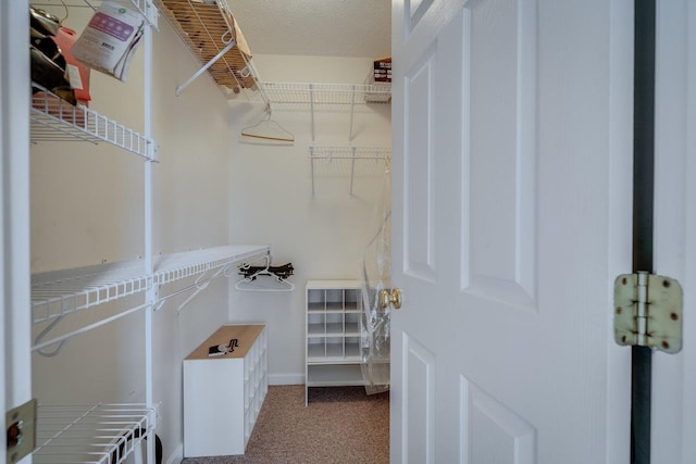 spacious closet with carpet