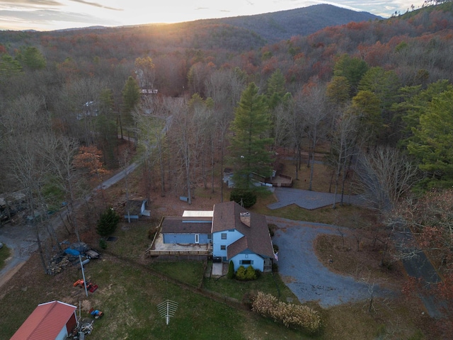 birds eye view of property featuring a mountain view