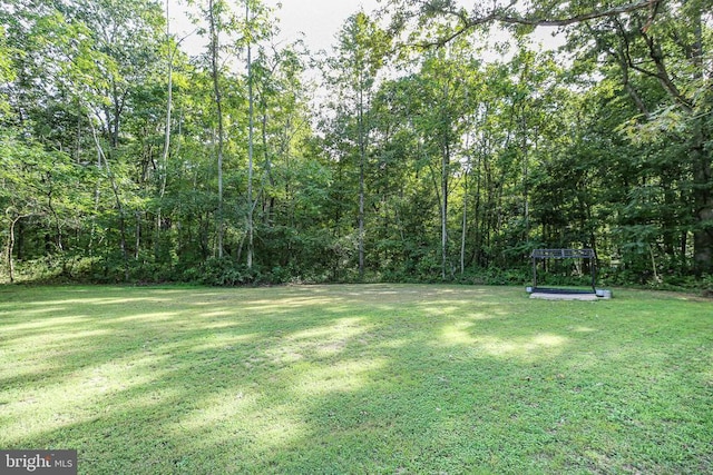 view of yard featuring a view of trees