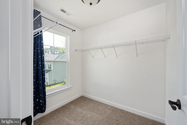 walk in closet with carpet floors and visible vents