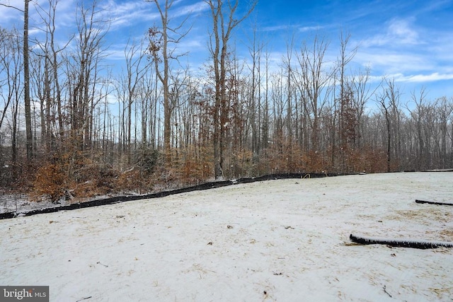 view of yard covered in snow