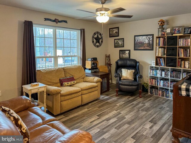 living room with ceiling fan and wood-type flooring