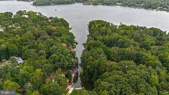 bird's eye view with a water view and a forest view