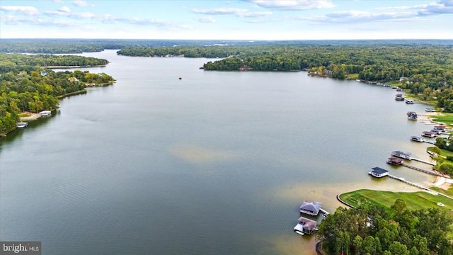 drone / aerial view with a water view and a view of trees