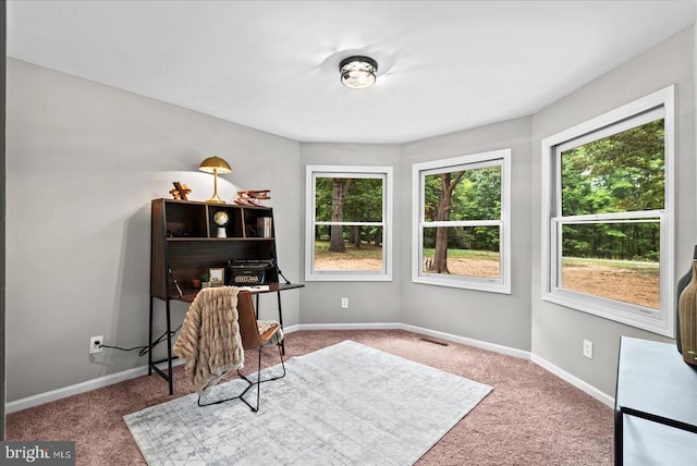 office area with carpet floors, visible vents, and baseboards