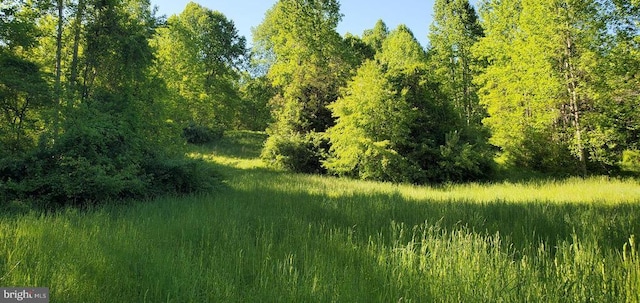 view of landscape