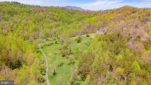 birds eye view of property featuring a mountain view