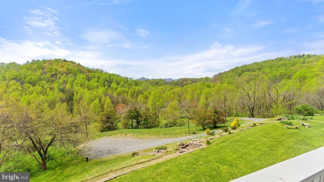 view of home's community featuring a yard