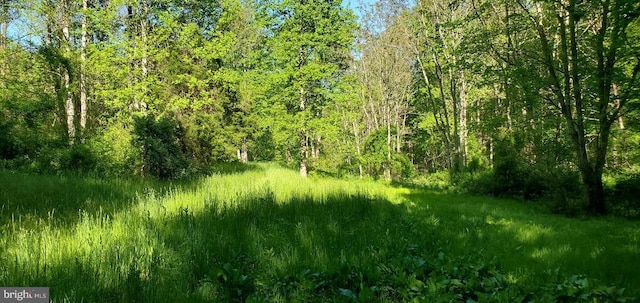 view of landscape