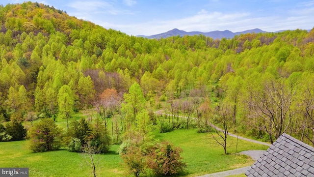 property view of mountains