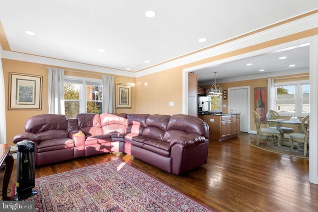 living room featuring ornamental molding, a healthy amount of sunlight, and dark hardwood / wood-style floors