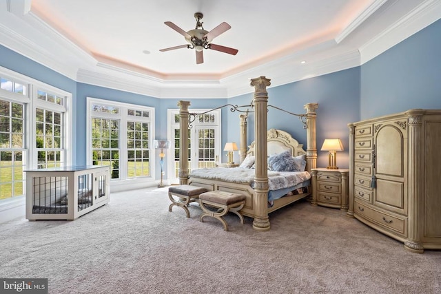carpeted bedroom with crown molding, a tray ceiling, and multiple windows