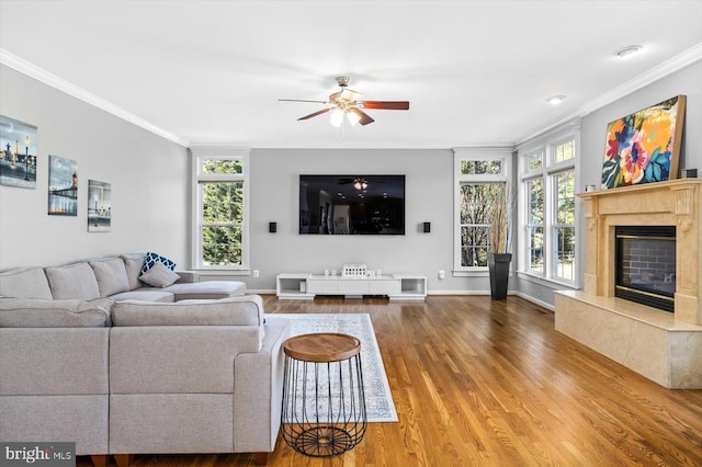 living area with plenty of natural light, wood finished floors, a high end fireplace, and crown molding