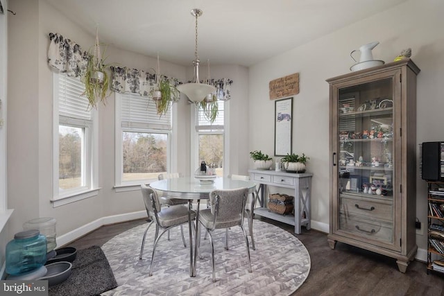 dining room featuring dark wood-type flooring and baseboards