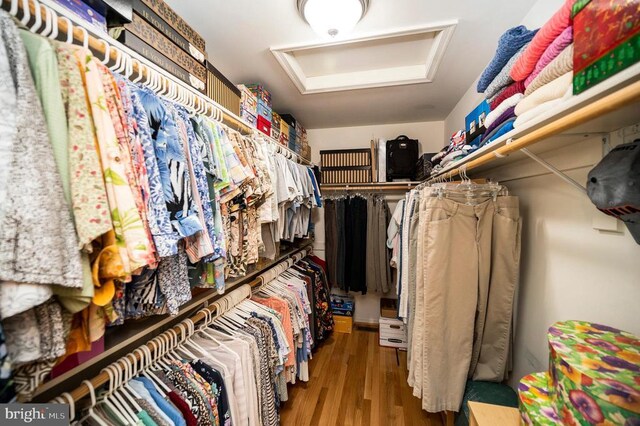 spacious closet with attic access and wood finished floors