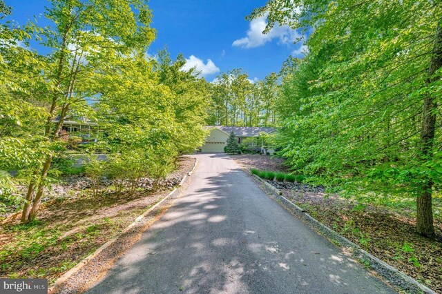 view of street with driveway