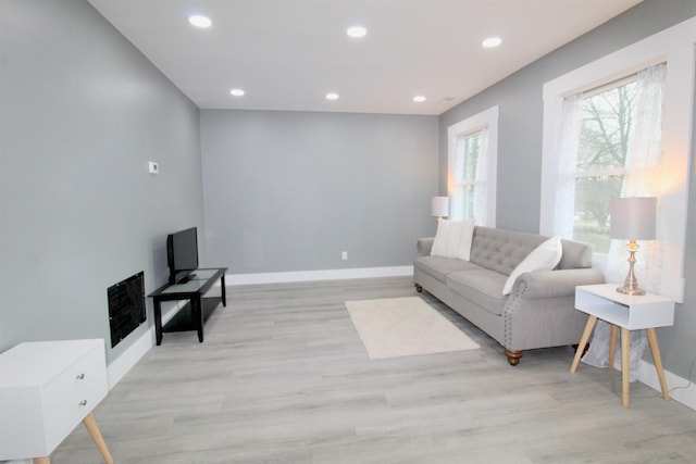 living room featuring light hardwood / wood-style flooring