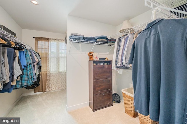 walk in closet featuring carpet