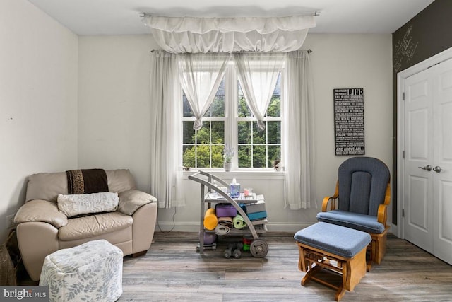 sitting room with wood-type flooring