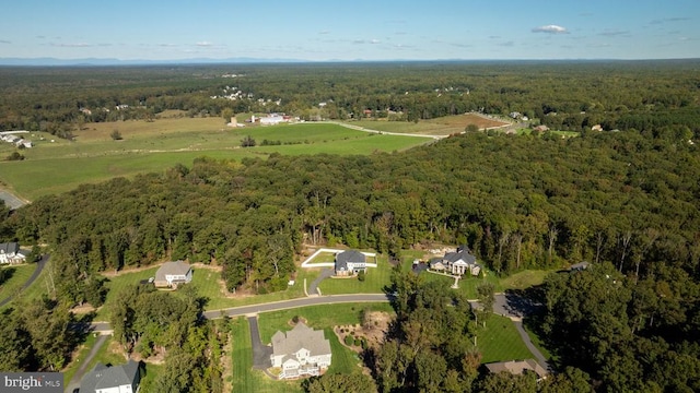 bird's eye view with a view of trees