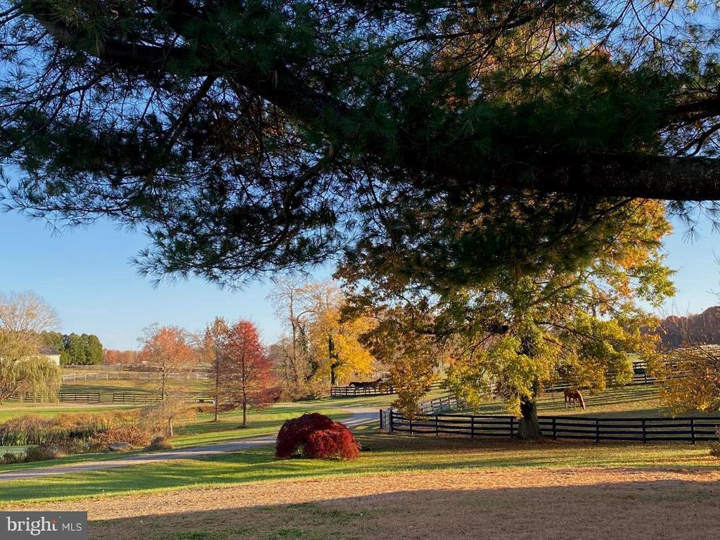 view of community featuring a rural view and fence