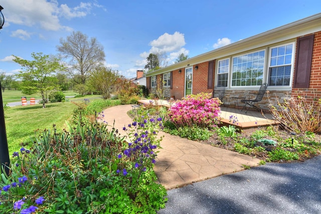 view of yard featuring a deck