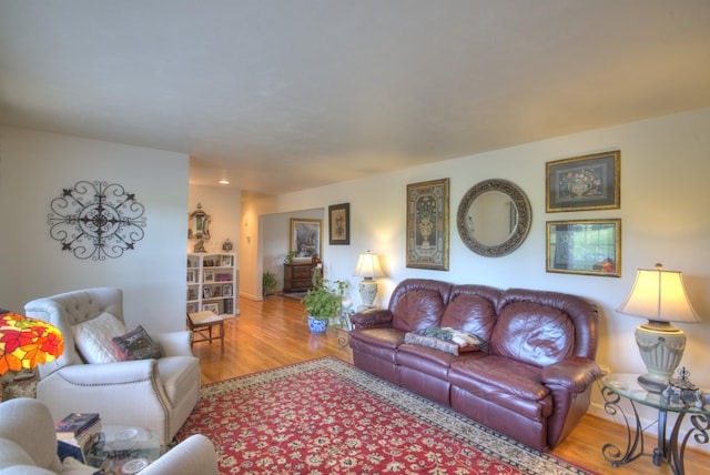 living room featuring wood finished floors