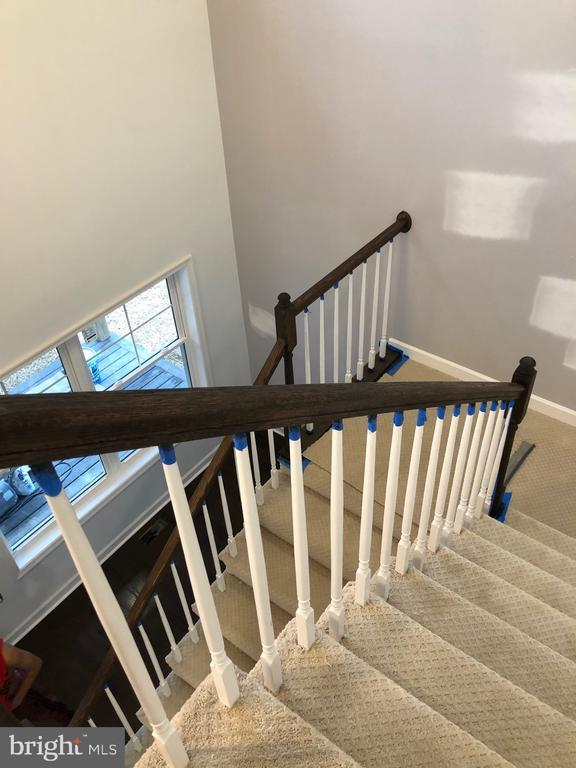 staircase with carpet floors