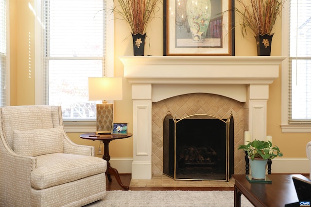 living area featuring a fireplace