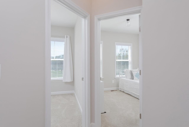 hall featuring carpet flooring and baseboards
