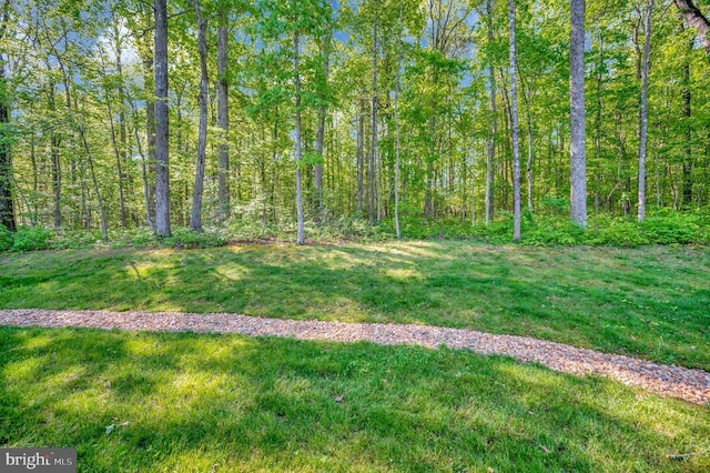 view of yard with a wooded view