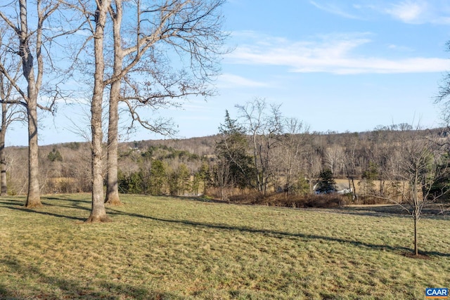 view of yard featuring a view of trees