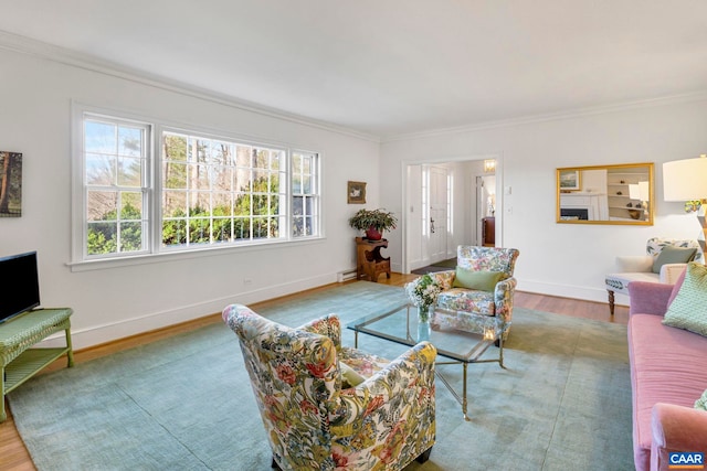 living area featuring a baseboard radiator, wood finished floors, baseboards, and ornamental molding