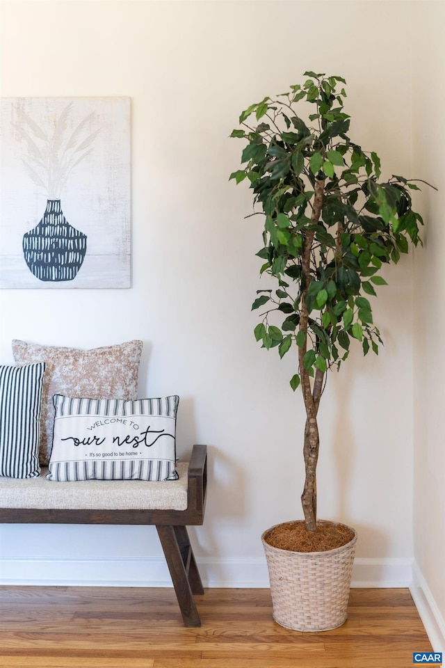 room details featuring hardwood / wood-style floors