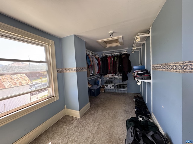 spacious closet featuring attic access and carpet
