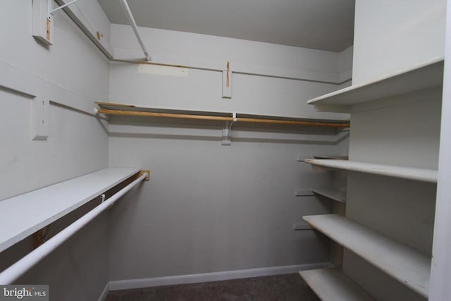 view of walk in closet