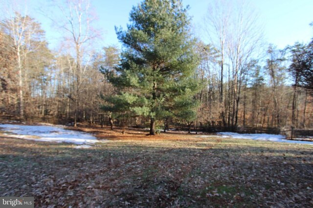 view of yard featuring a water view