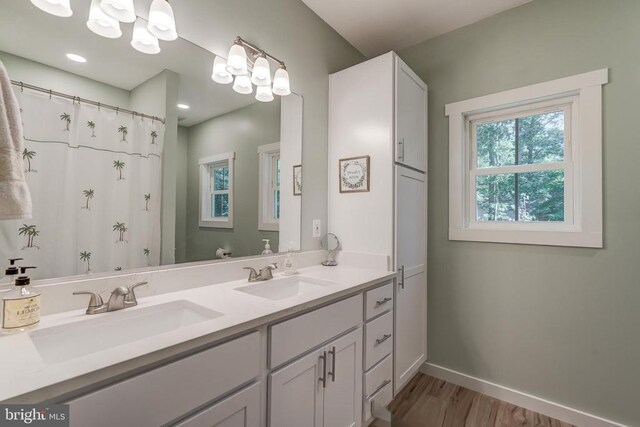 bathroom with double vanity, wood finished floors, baseboards, and a sink